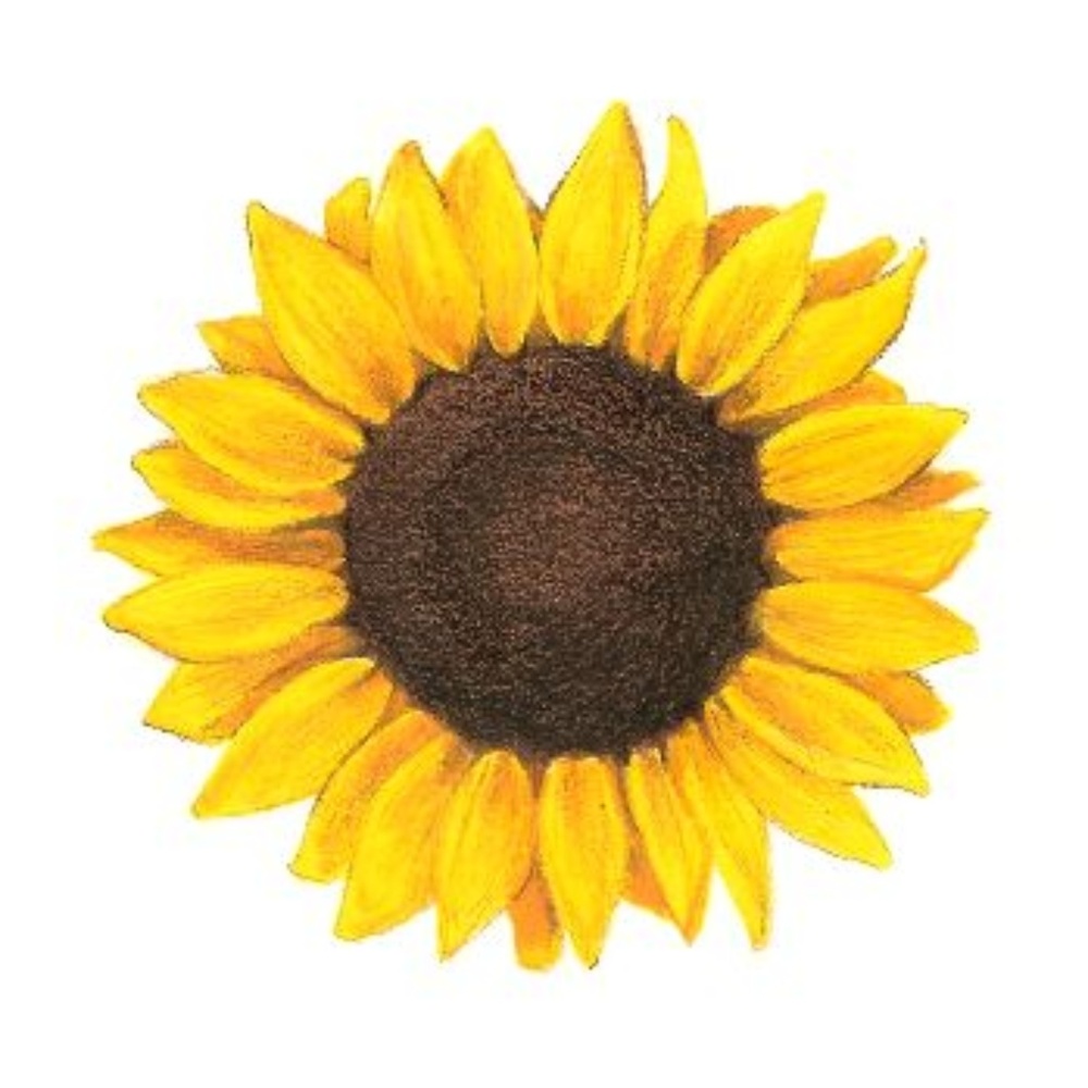 Meet your Posher, Ann